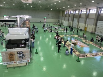 わんにゃんカーニバル わんにゃんカーニバル